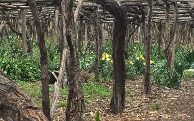Primera Política Nacional de Desarrollo Rural para nuestro país
