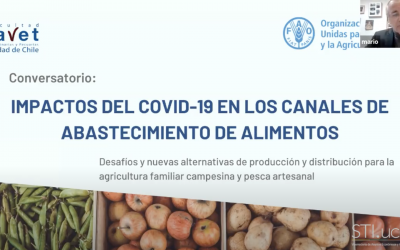 Conversatorio: Impactos del COVID-19 en los canales de abastecimiento de alimentos. Desafíos y nuevas alternativas de producción y distribución para la agricultura familiar campesina y pesca artesanal