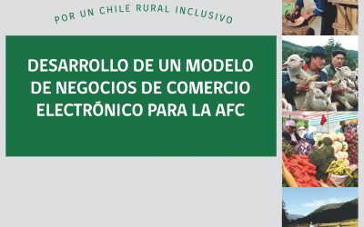 Desarrollo de un modelo de negocios de comercio electrónico para la AFC