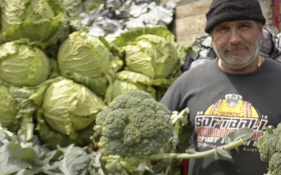 Con éxito cierra proyecto que mejora la calidad e inocuidad de alimentos
