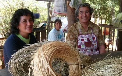 Rescate de tradiciones ancestrales producto de la paja del trigo