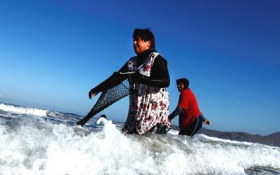 Favet realiza curso online para pescadoras artesanales