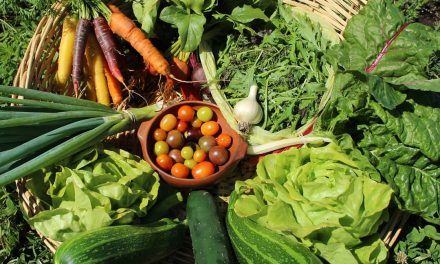 Manifiesto de la Cátedra de Agricultura Campesina y Alimentación