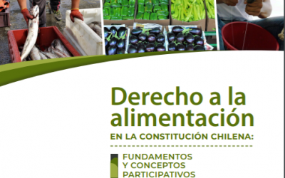 Derecho a la alimentación en la Constitución Chilena. Fundamento y conceptos participativos.