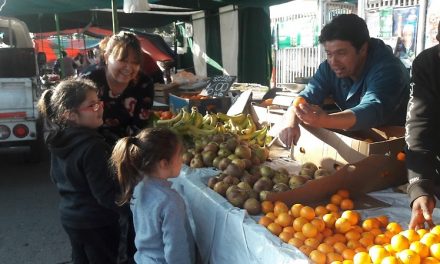 Cátedra de la Universidad de Chile entregó insumos para la Cumbre de Sistemas Alimentarios de Naciones Unidas