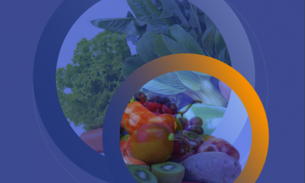 Universidad de Chile presenta propuesta constitucional sobre derecho a la alimentación