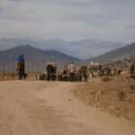 Algo anda mal en la agricultura nacional