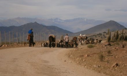 Algo anda mal en la agricultura nacional