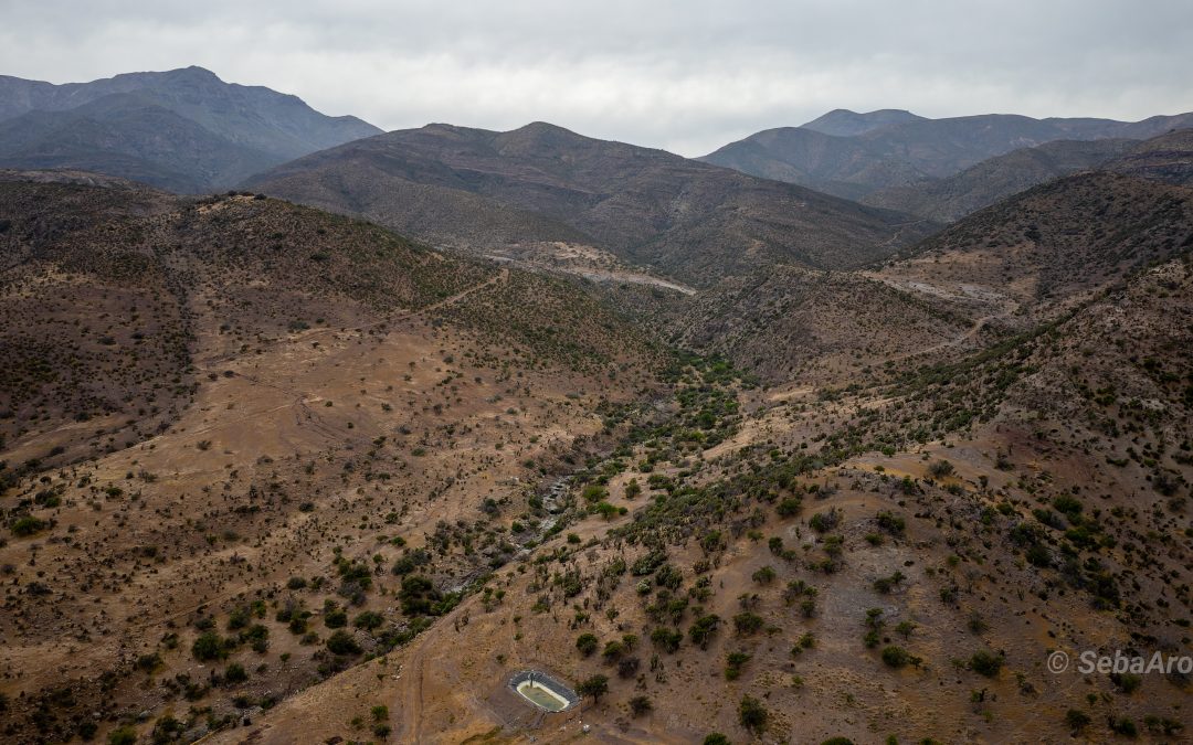 Desafíos del nexo tierra-agua y alimentación en un mundo más árido