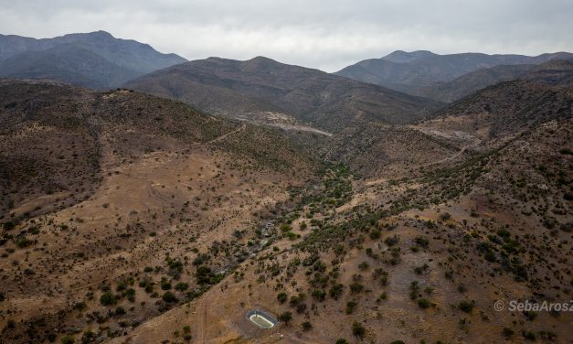 Desafíos del nexo tierra-agua y alimentación en un mundo más árido
