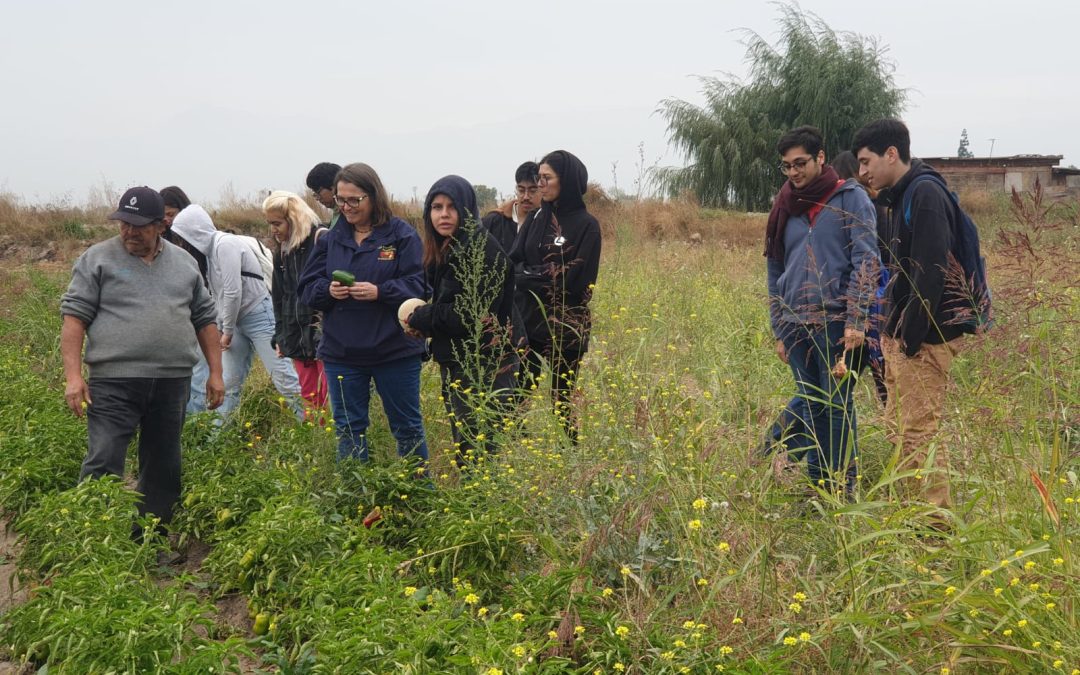 Del Campo a la Mesa. Caminos y recorridos de los alimentos
