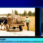 Día de los y las campesinas 2025. Soledad Alvear Aguirre e Iván Cano Silva