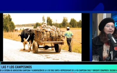 Día de los y las campesinas 2025. Soledad Alvear Aguirre e Iván Cano Silva