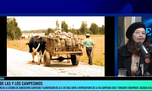 Día de los y las campesinas 2025. Soledad Alvear Aguirre e Iván Cano Silva