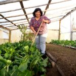 Futuros campesinos y pobreza multidimensional: una reflexión desde los territorios rurales