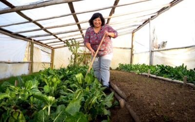 Futuros campesinos y pobreza multidimensional: una reflexión desde los territorios rurales