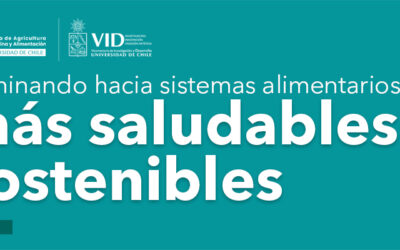 [9/diciembre] Caminando hacia sistemas alimentarios más saludables y sostenibles