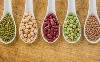 Académicas U. de Chile buscan reforzar agricultura campesina y rescate de cultivos tradicionales